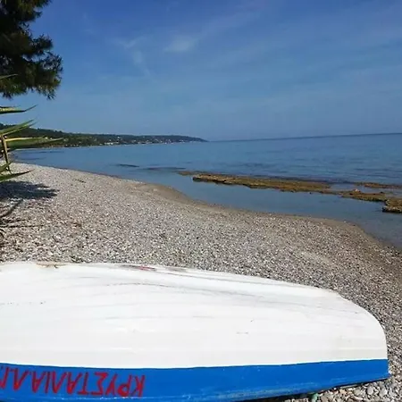 Mola Kassandra 2, *