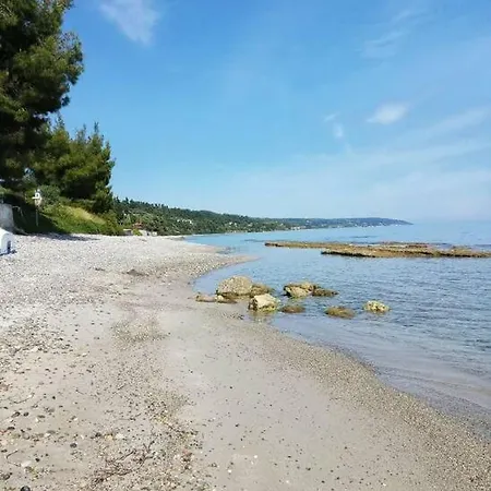 Mola Kassandra 2,